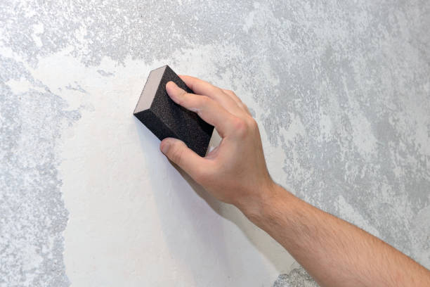 Environmental Consulting for Mold Prevention in Peppermill Village, MD
