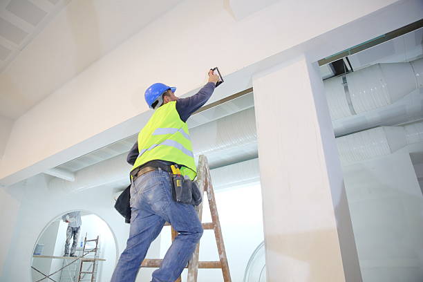 Best Black Mold Removal  in Peppermill Village, MD
